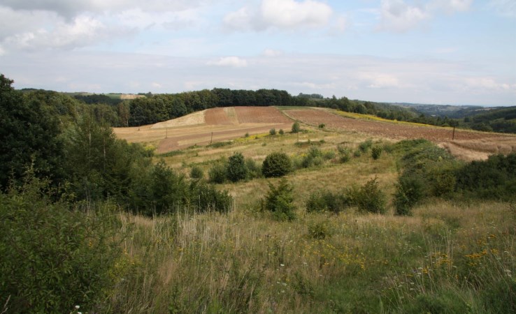 działka na sprzedaż - Wielka Wieś, Biały Kościół